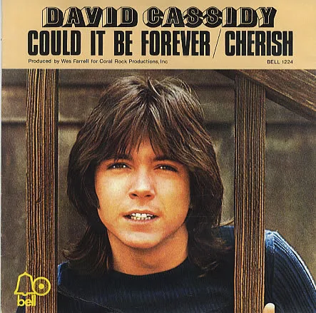 David Cassidy